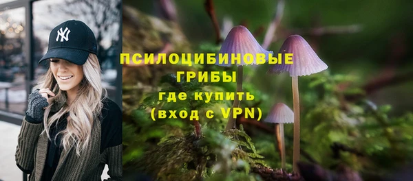 бутират Горнозаводск