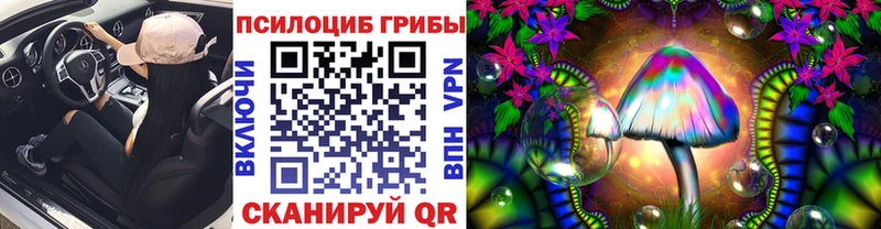 Псилоцибиновые грибы мицелий Ноябрьск