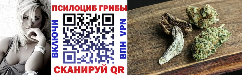 Псилоцибиновые грибы Cubensis  Купить где  Ноябрьск 